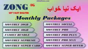 Zong monthly internet packages