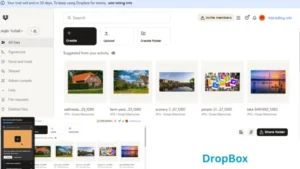 dropbox photos 